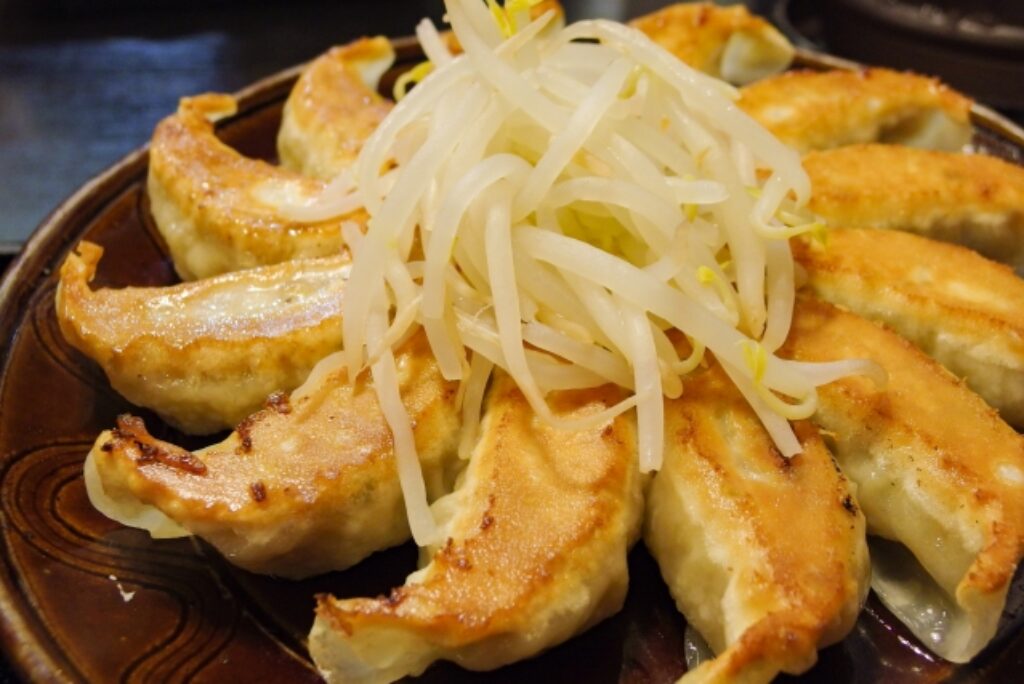 浜松餃子は“ソウルフード”にふさわしい！旅行者も地元民も必食の美味しさ
