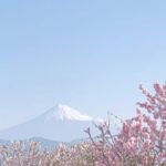 夫の脱サラ移住から10年：静岡市で見つけた新しい人生の喜び