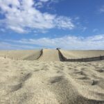 日本三大砂丘である「中田島砂丘」で魅力あふれるサンセットを楽しもう