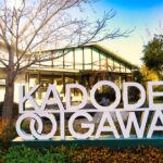 門出駅直結ドッグラン併設のフードパークKADODE OOIGAWA（かどでおおいがわ）で楽しむ緑茶とフードパークを紹介